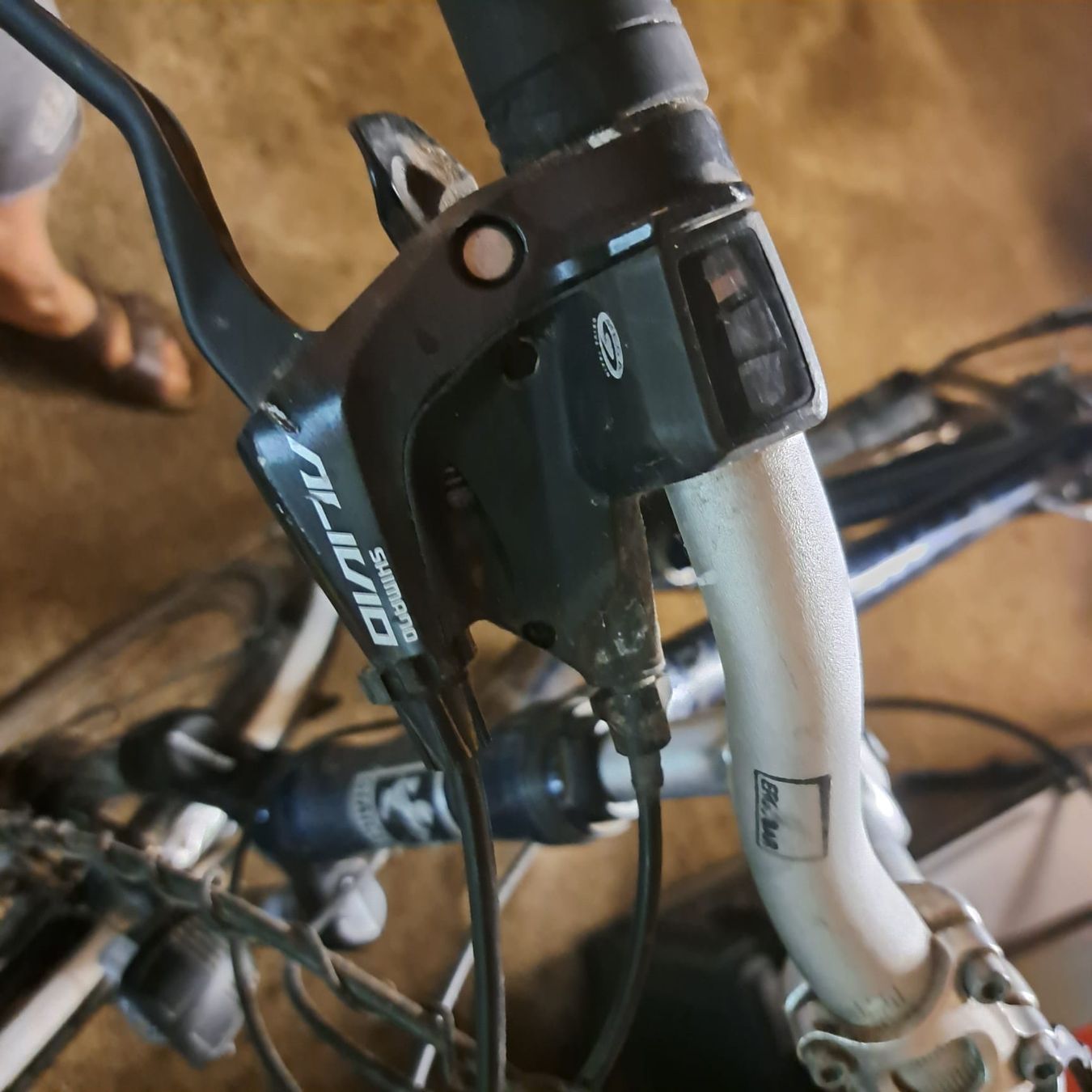 Velos: Staiger Texas – Gebraucht aus Zollbrück von m3g_5dlx 7