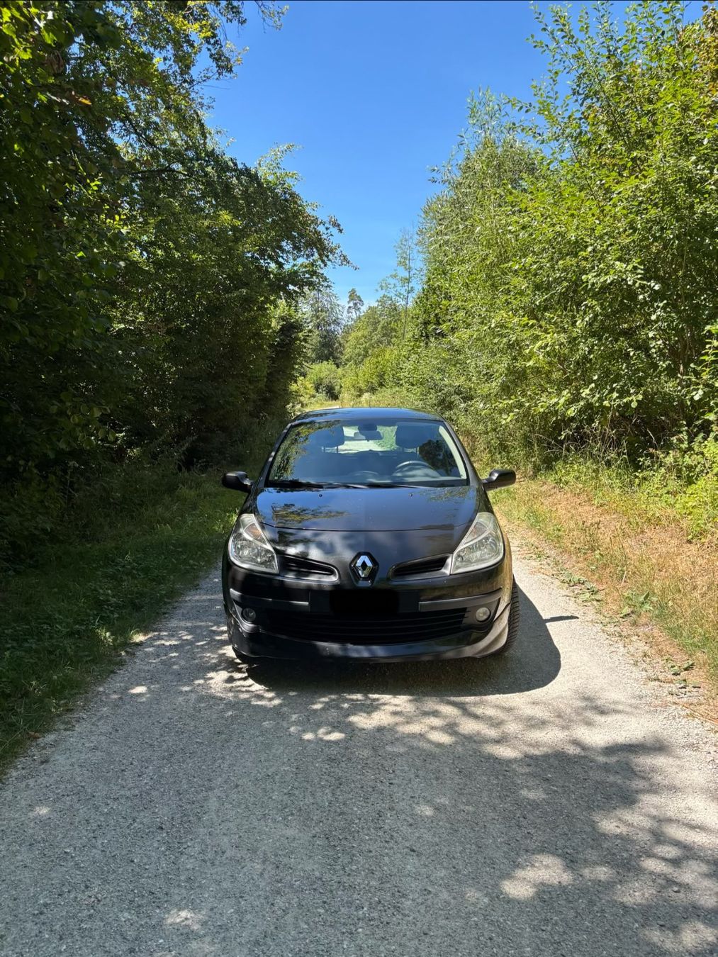 Renault Automobili: Renault Clio 1.2 – Usato da Bern venduto da isa_q2ms 1