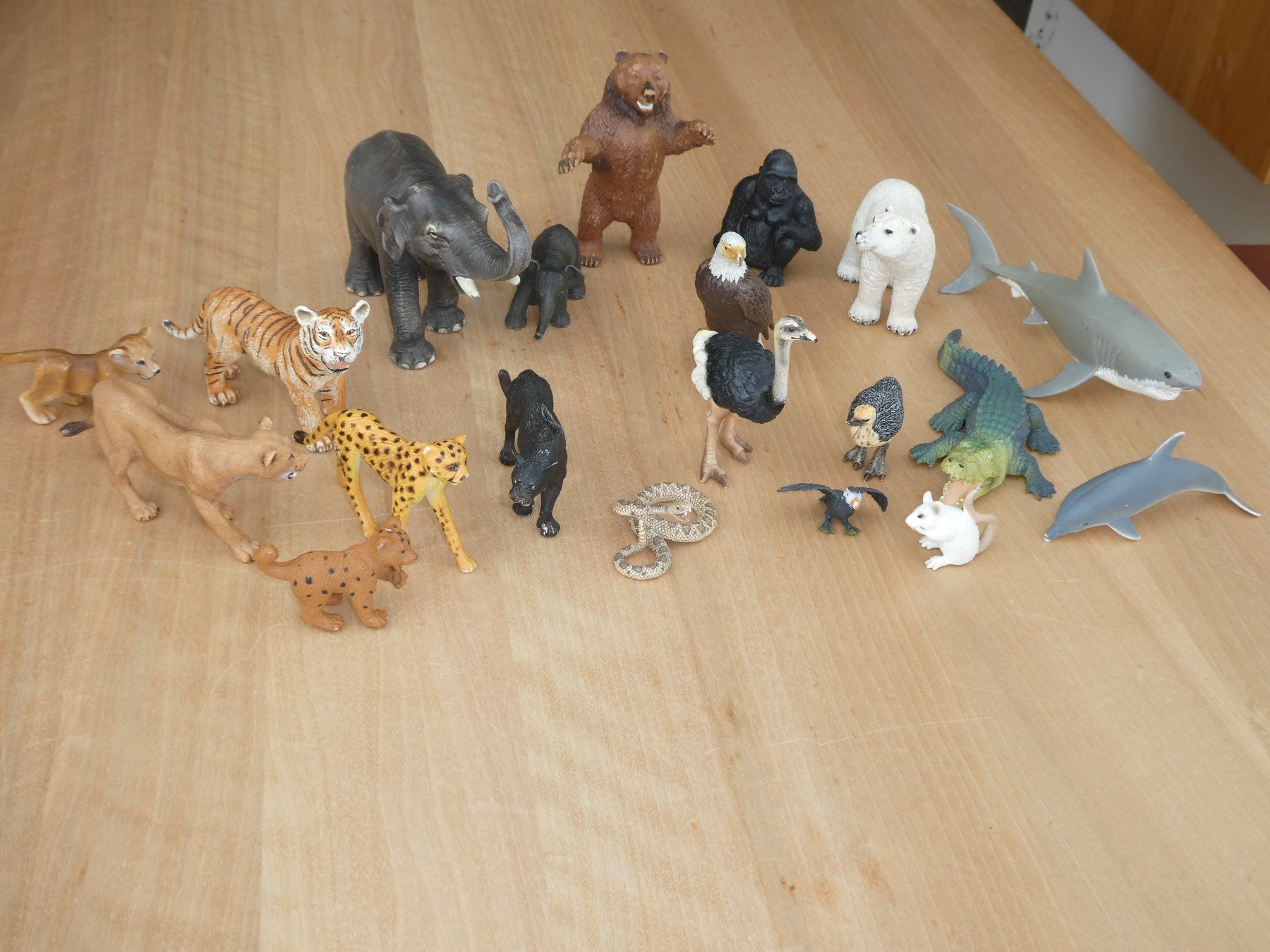 Schleich Spielzeuge: Set Schleich Wildtiere – Gebraucht aus Beromünster von legolas_mt-gd 1