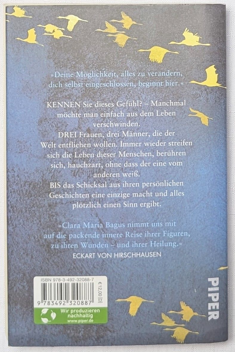 Libri: Der Klang von Licht - Clara Maria Bagus – Nuovo (secondo la descrizione) da Wängi venduto da ABIZONE-86 1