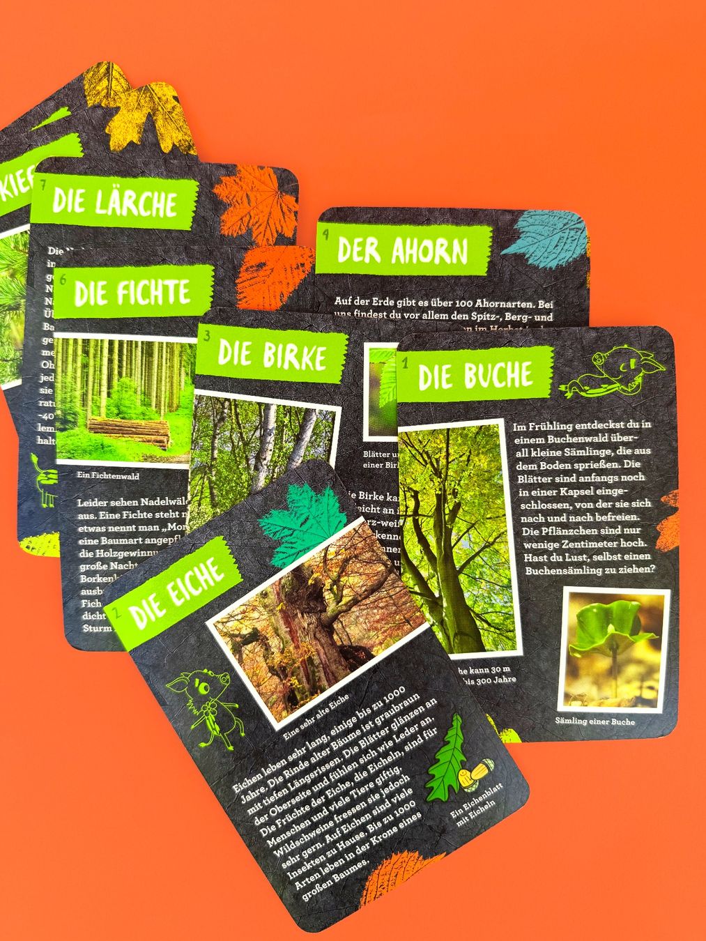 Giochi: 50 Wald-Abenteuer Karten – Nuovo (secondo la descrizione) da Zürich venduto da kj_8465 5