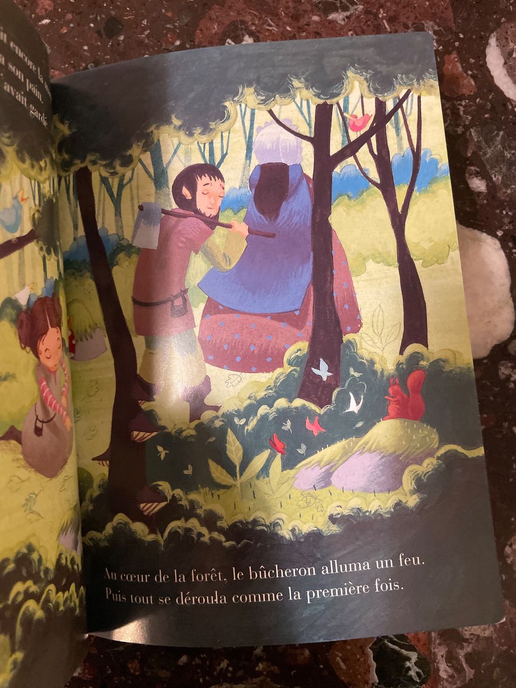 Libri: Livre Hänsel et Gretel – Usato da Genève venduto da Buens4 4