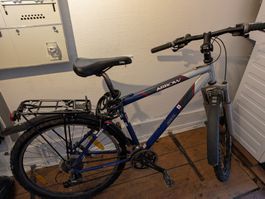 Mountainbike Arrow Cheekee