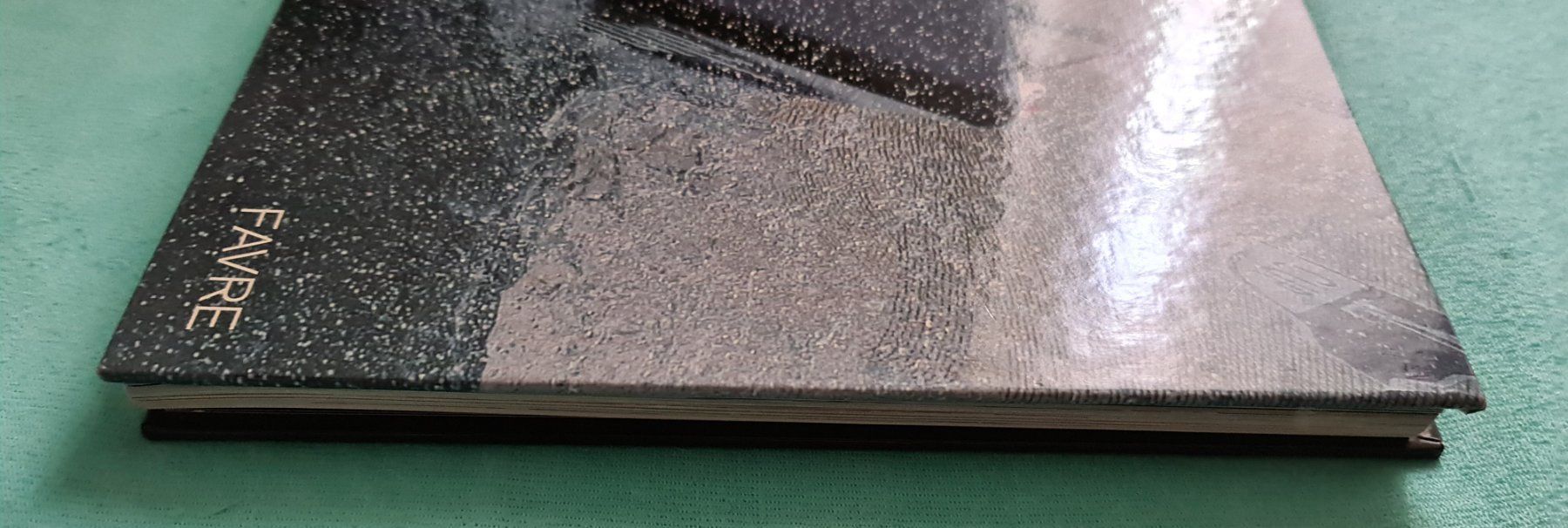 Libri: Alinghi / We did it – Usato da Cortaillod venduto da signep 7