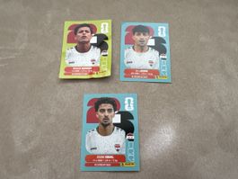 Fussball Karte  Irak Team