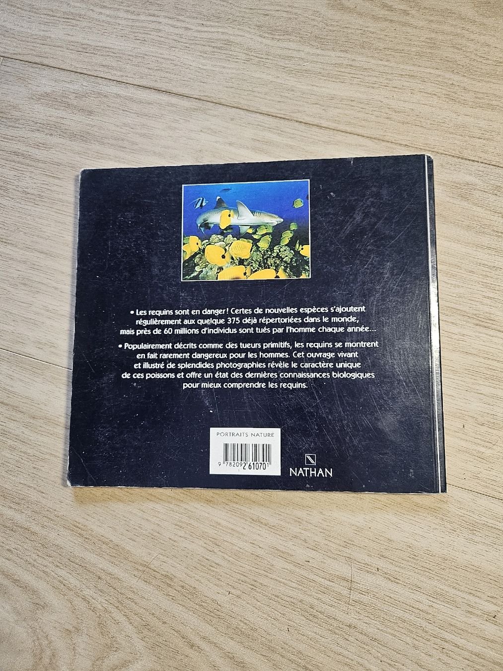 Bücher: Livre Requins Doug Perrine Nathan – Gebraucht aus La Joux FR von car_ck96 5