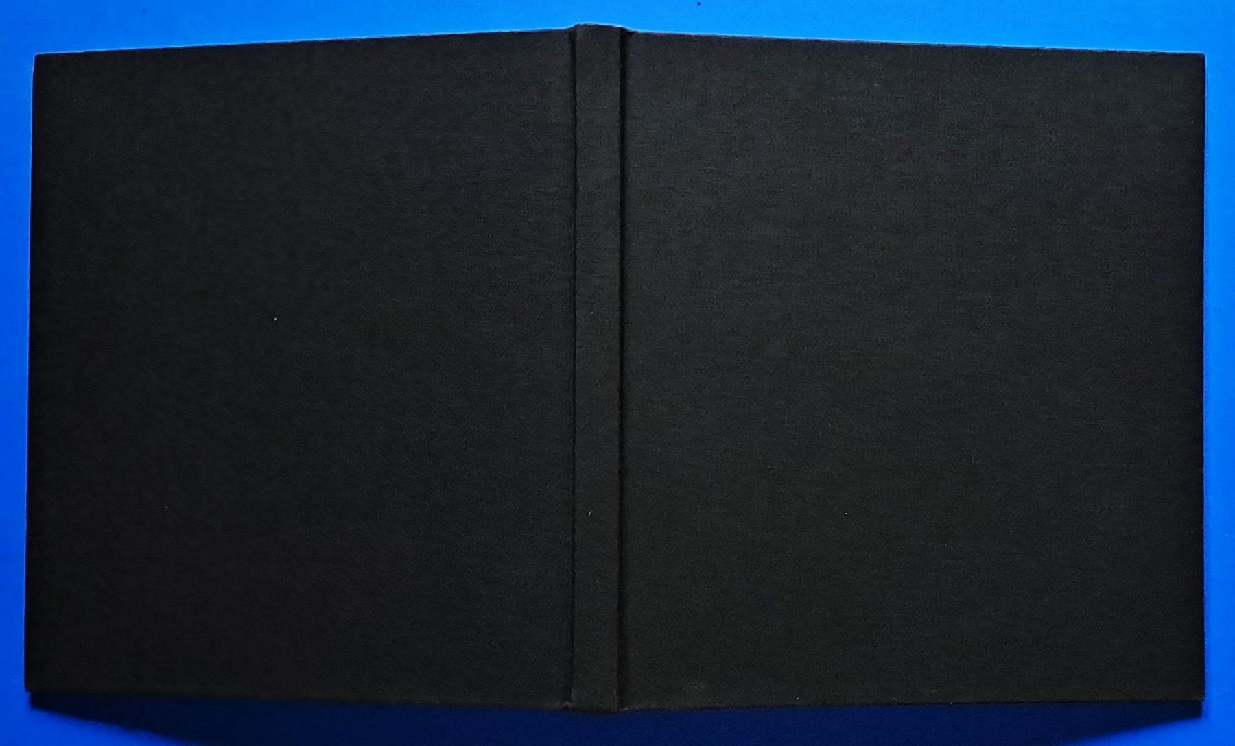 Libri: IZIS RÉTROSPECTIVE Erstausgabe 1988 – Usato da Zürich venduto da archiphil 1