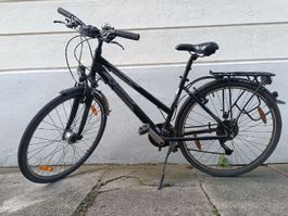 Pegasus Piazza Trekkingrad schwarz