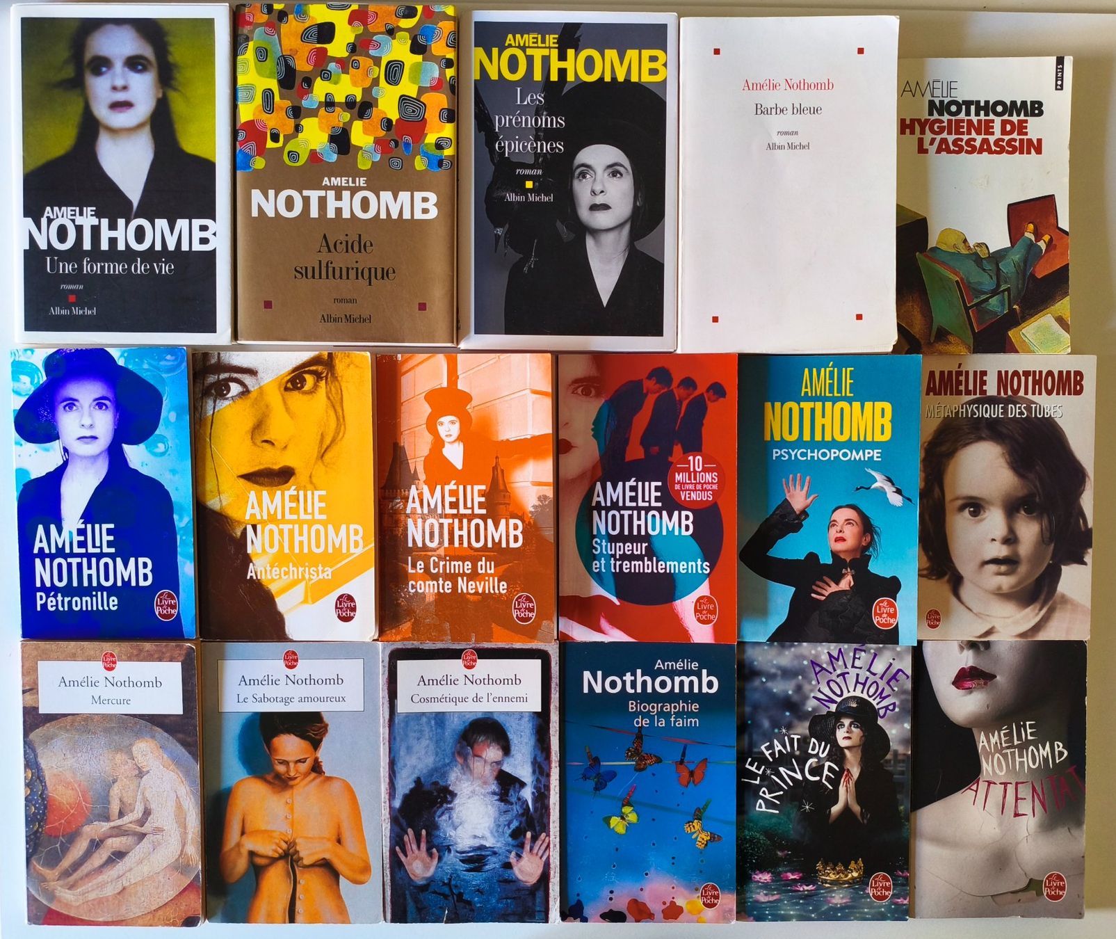 Libri: Lot de 17 romans d'Amélie Nothomb – Usato da Lausanne venduto da genybi