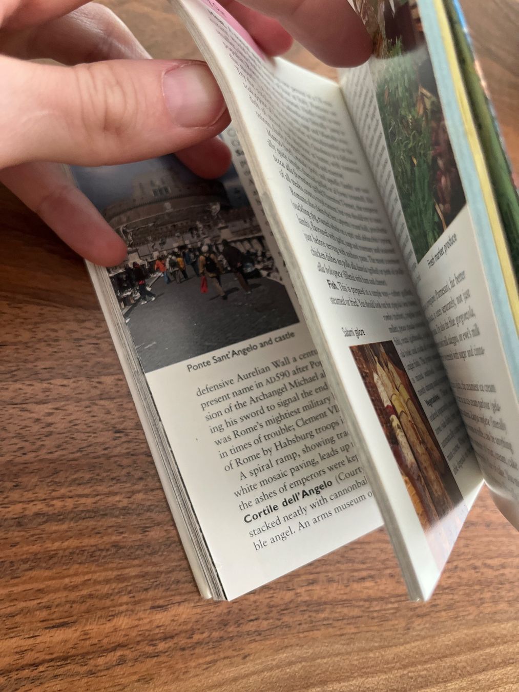 Libri: Reiseführer Rom in englisch, Berlitz Pocket Guide – Usato da Lugano venduto da sweetyd84 2