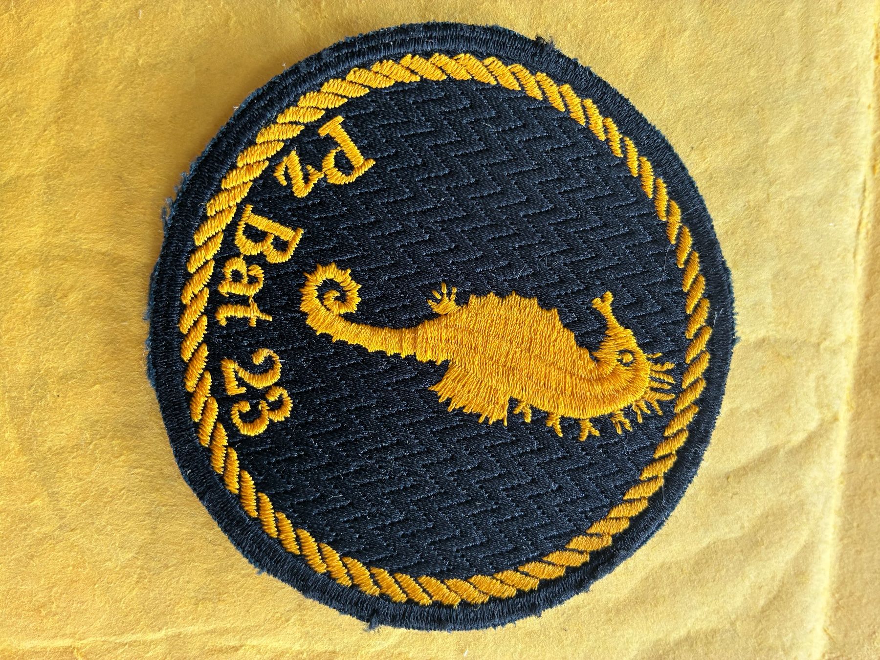 Schweizer Armee Placchette & Badge: Stab Pz Bat 23 – Usato da Oberiberg venduto da reimet