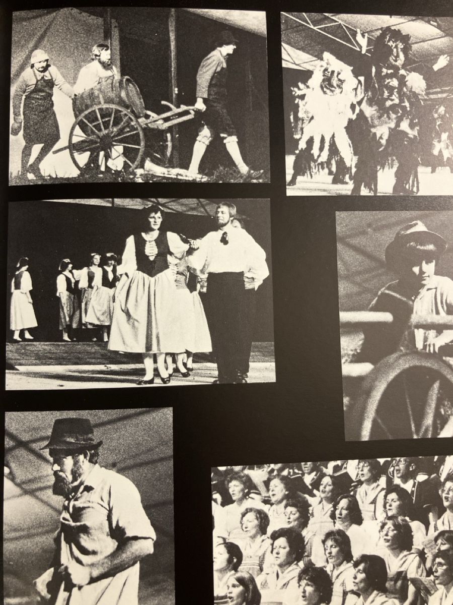 Libri: Trevaux 1980 livre – Usato da Avenches venduto da Tinkey 1