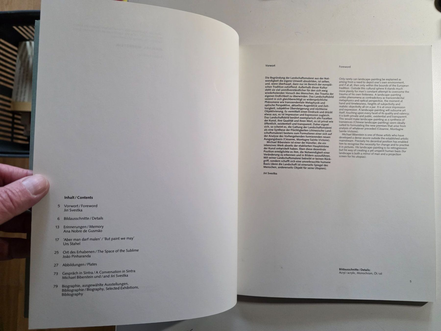 Libri: Michael Biberstein - Bilder Buch Kunst 1/1000 – Usato da Walterswil BE venduto da Lonitti 8