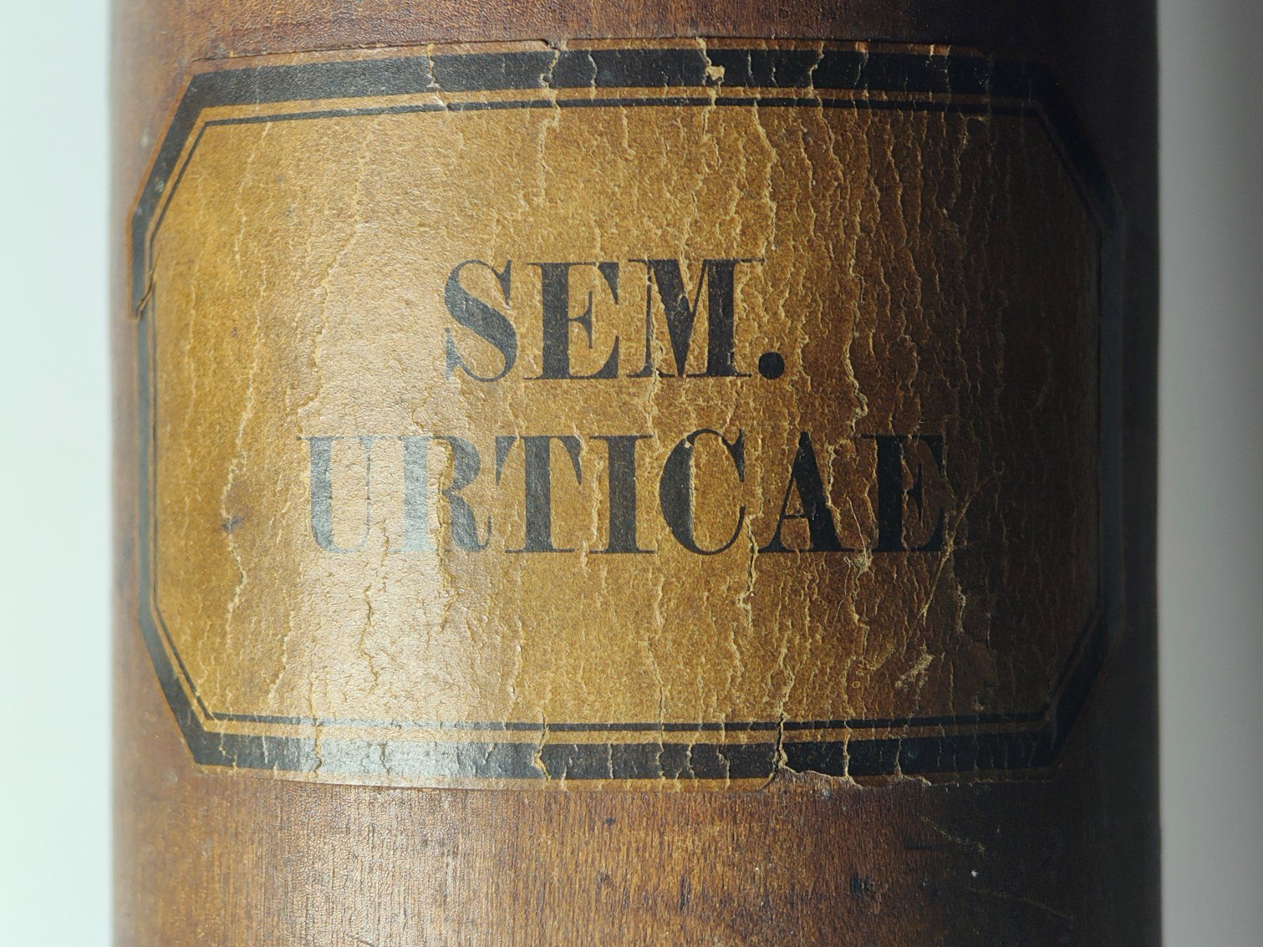 Barattoli: Antike Apothekerdose Holzdose Sem. Urticae Um 1850 20cm – Usato da Monthey venduto da 19_karen_84 1
