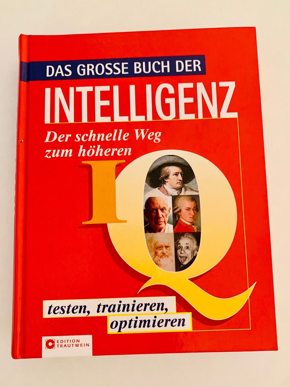 Libri: Das grosse Buch der Intelligenz, IQ verbessern – Usato da Maienfeld venduto da mar_59mb