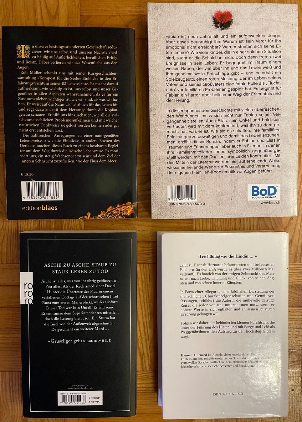 Libri: Bücherpaket – Nuovo (secondo la descrizione) da Elsau venduto da frlbuesi 1