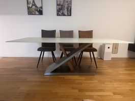 Design Esstisch 220 cm mit Milchglasplatte