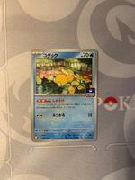 Enton (SV-P 262) GYM PROMO Pokemon Karte (4)