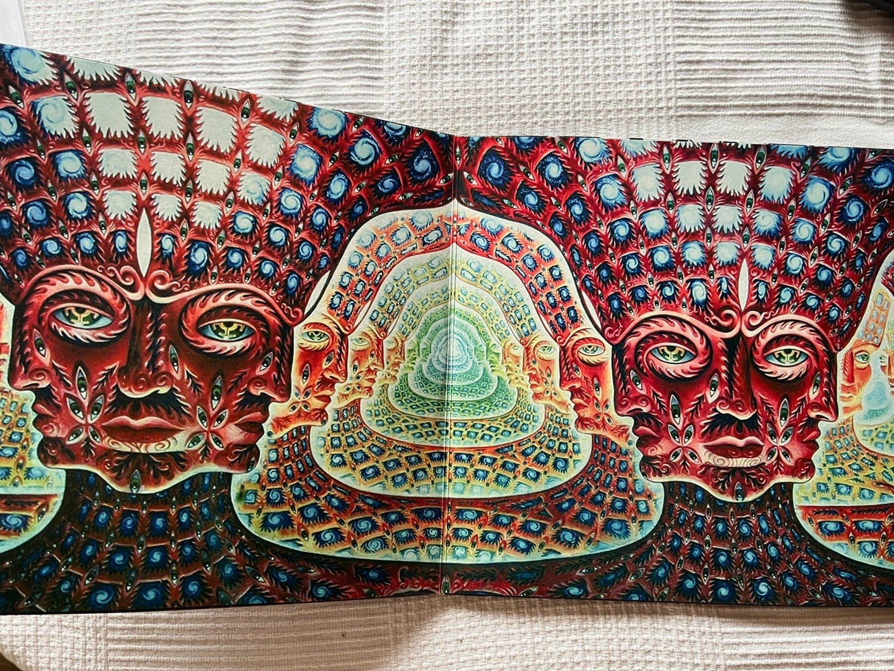 Dischi in vinile: Tool - 10,000 Days 2x Vinyl LP – Usato da Effretikon venduto da ChrisLamberger 1