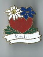 Meliau mit Edelweiss und Enzian, Pin