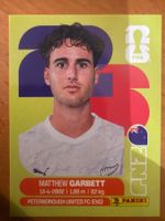 Panini NZL14