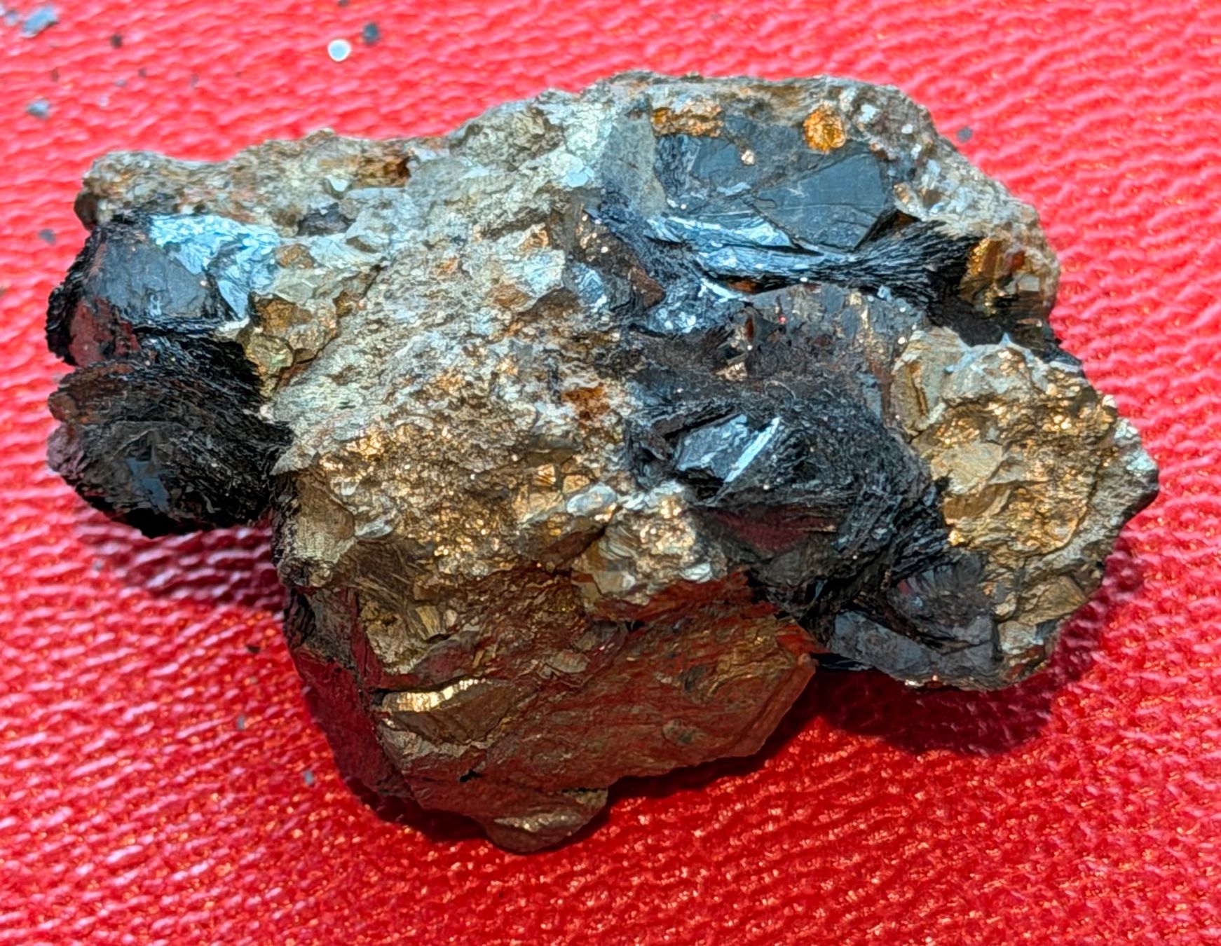Alle Dekorationen: Setzkasten, Kleinode – Neu (gemäss Beschreibung) aus Volketswil von eva_c76w 6