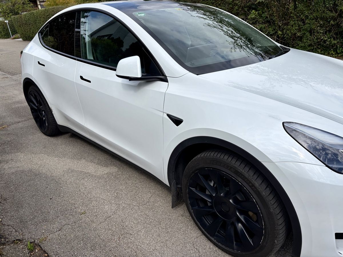 Tesla Automobili: Tesla Modell Y RWD – Usato da Solothurn venduto da Iustus