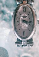 Pierre Balmain Ovation Mini