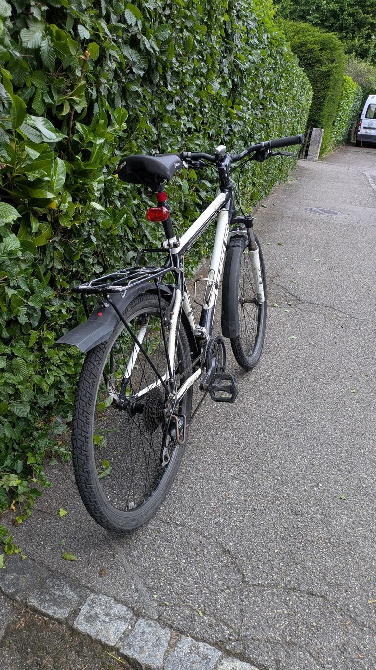 Wheeler Biciclette: Wheeler 26" Citybike – Usato da Lenzburg venduto da Okikukok 3