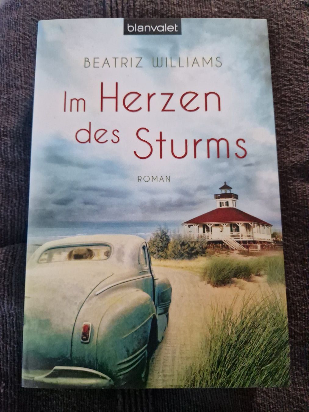 Libri: Beatriz Williams - Im Herzen des Sturms – Nuovo (secondo la descrizione) da Neuhausen am Rheinfall venduto da Alchimista