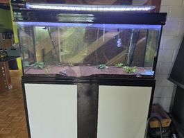 auquarium complet 