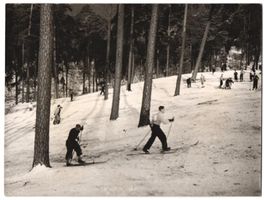 Fotografie Berlin-Grunewald, Wintersport