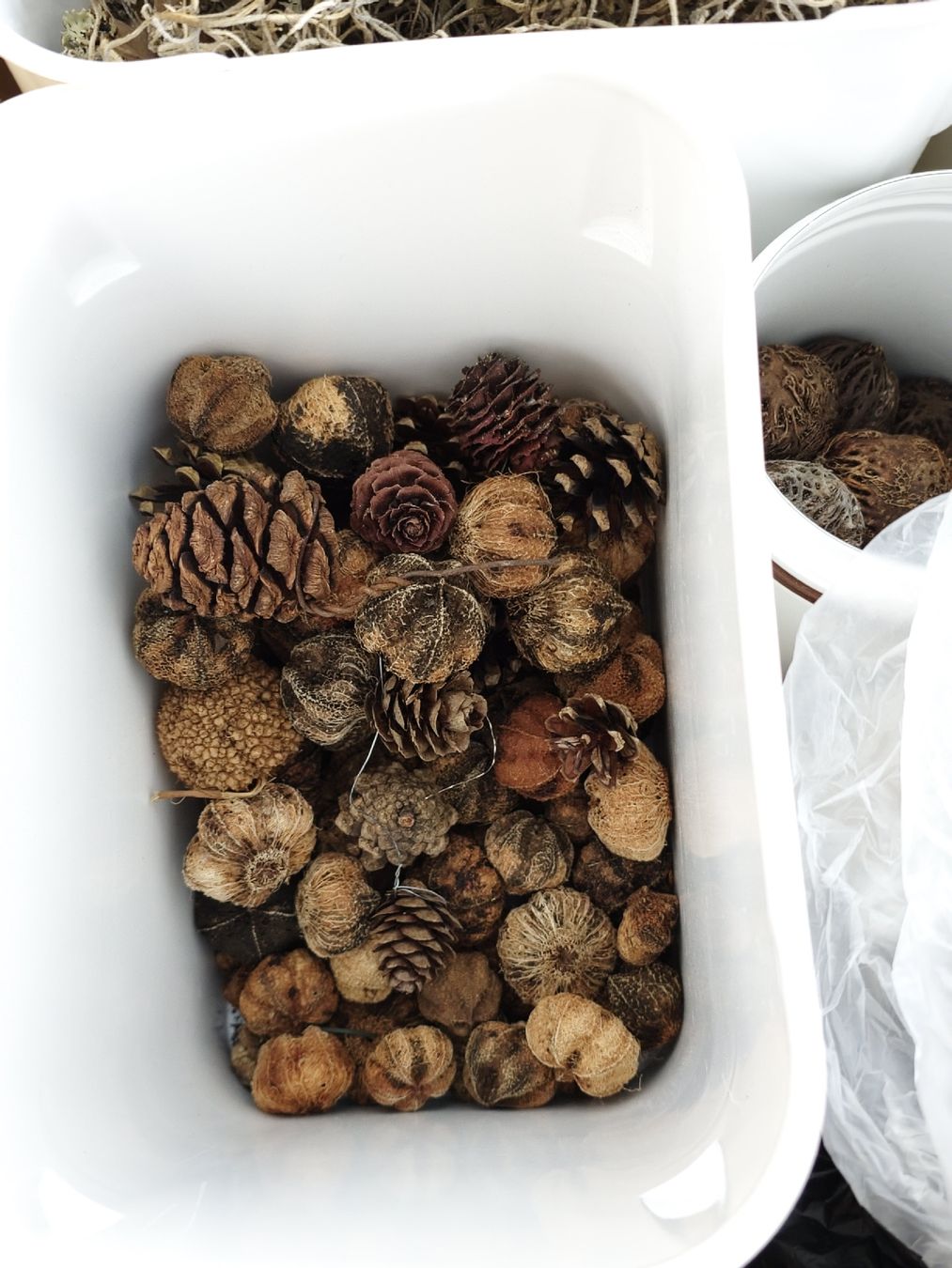 Tutte le decorazioni: Dekomaterial, diverses aus Naturmaterialien – Usato da Morschach venduto da Monikawi 3