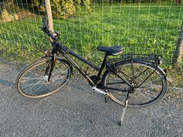 Leichtes 28-Zoll-Fahrrad von Bergamont