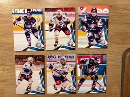 Sportzoo 25/26 Series1 ZSC Lions