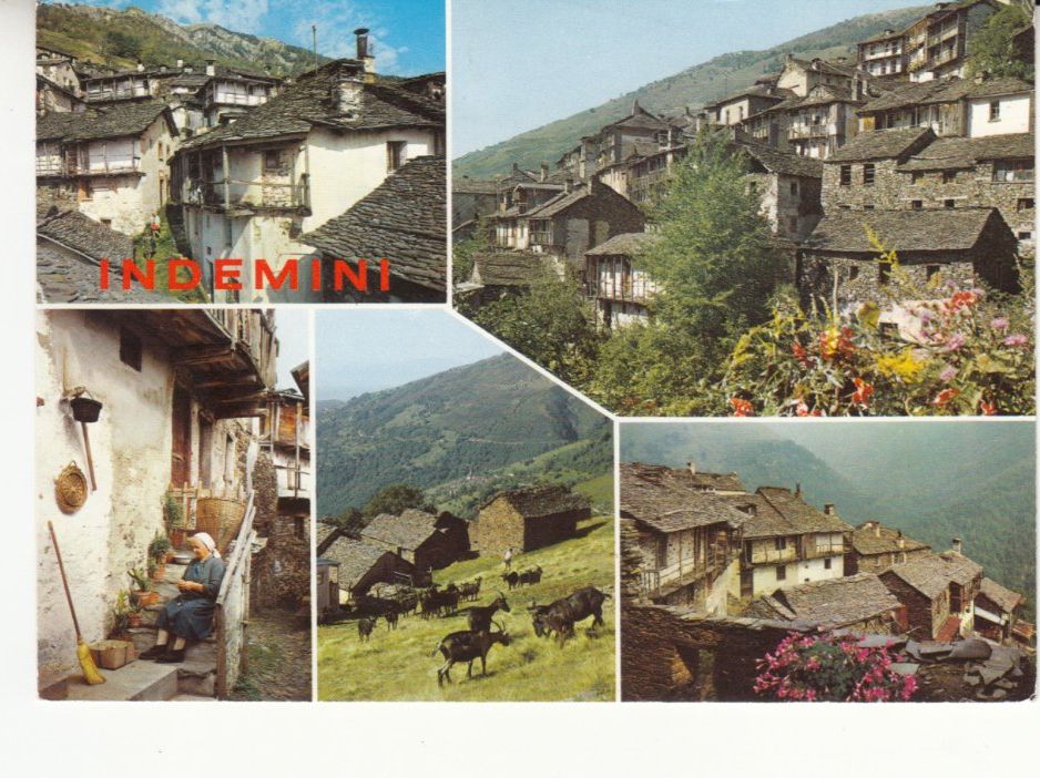 Cartoline postali: Indemini 1988 – Usato da Bürglen TG venduto da StampGraf
