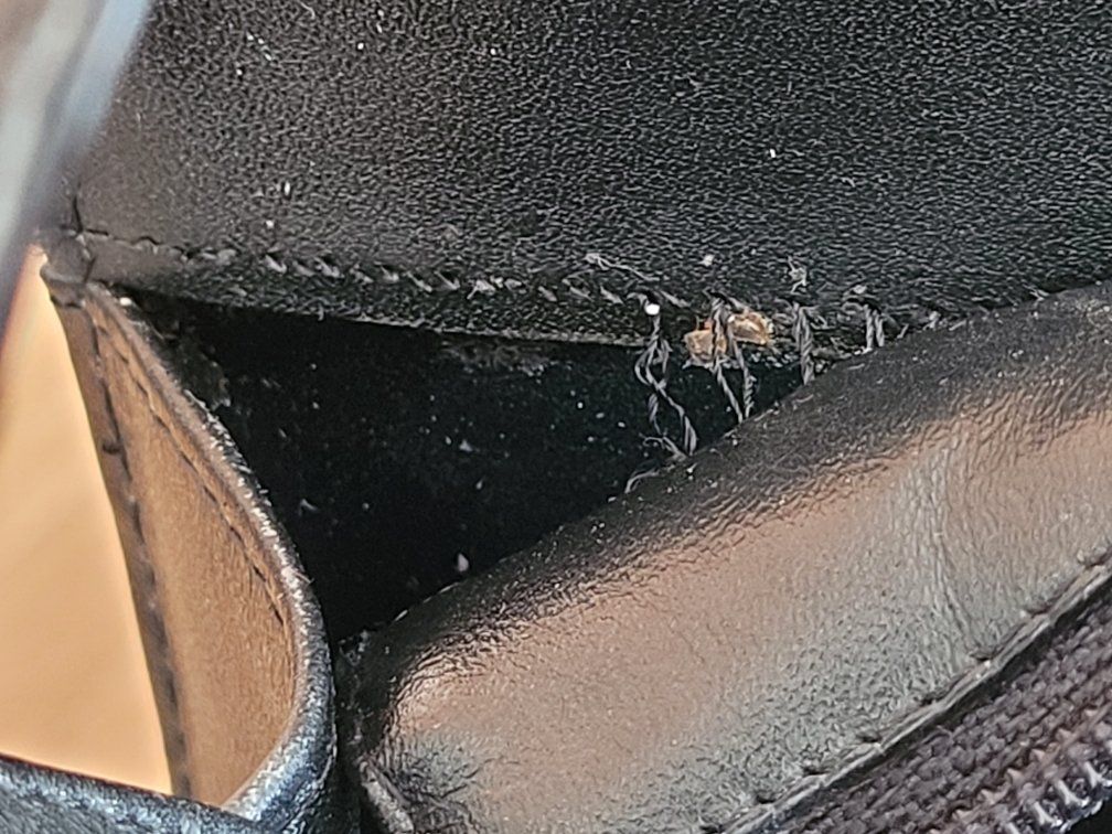 Borse: Stingray Leder Tasche und Wallet – Usato da Kreuzlingen venduto da glo_yg6c 8