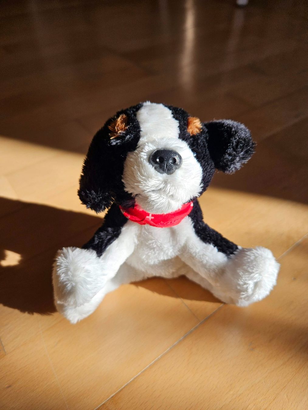Spielzeuge: Stofftier, Berner Sennenhund ca. 14 cm – Gebraucht aus Wettingen von Sk8ertomda