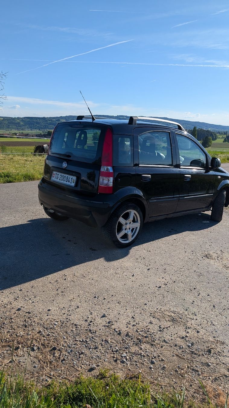 Fiat Automobili: Fiat Panda Kleinwagen – Usato da Wagerswil venduto da AlecRobin 2