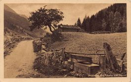 Im Dischmatal bei Davos, gelaufen 1922