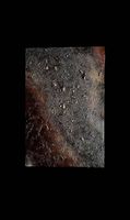 Exklusives 3D-Kunstwerk Ursprung