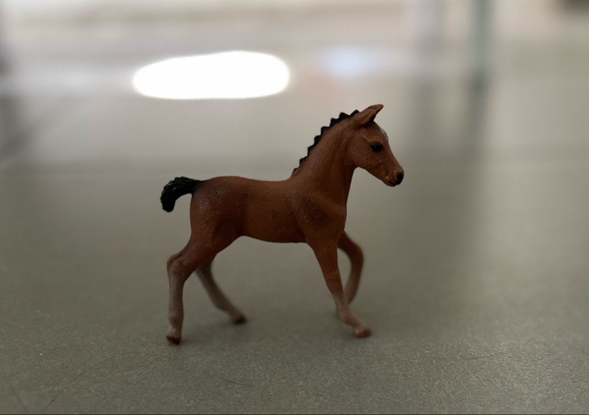 Schleich Giocattoli: Scleich Pferde – Usato da Fislisbach venduto da TamaCh81 1