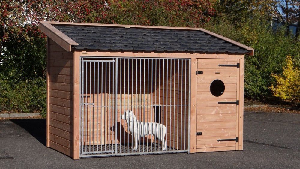 Hundezwinger, Chenil pour chiens, Canile per cani - Rolly (Neu und ...