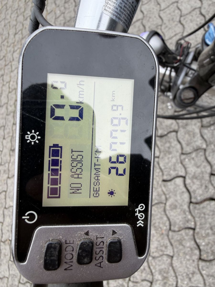 Flyer Biciclette: E-Bike Flyer – Usato da Willisau venduto da Pirminrand 1