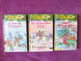Das magische Baumhaus 3er Bücher Set