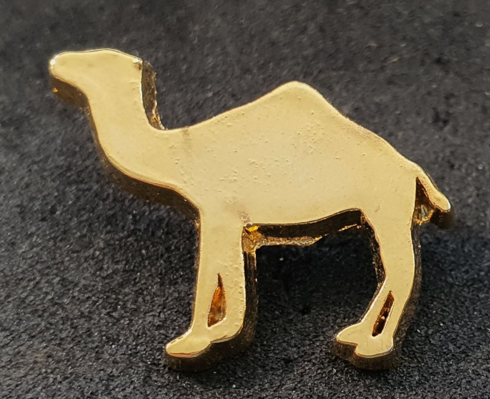 Placchette & Badge: CC565 - Pin Kamel Camel – Usato da Reinach BL venduto da Boston-Verkauf