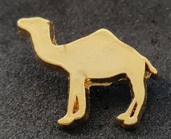 CC565 - Pin Kamel Camel