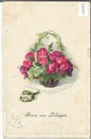 Gruss aus Lobsingen - Rosen
