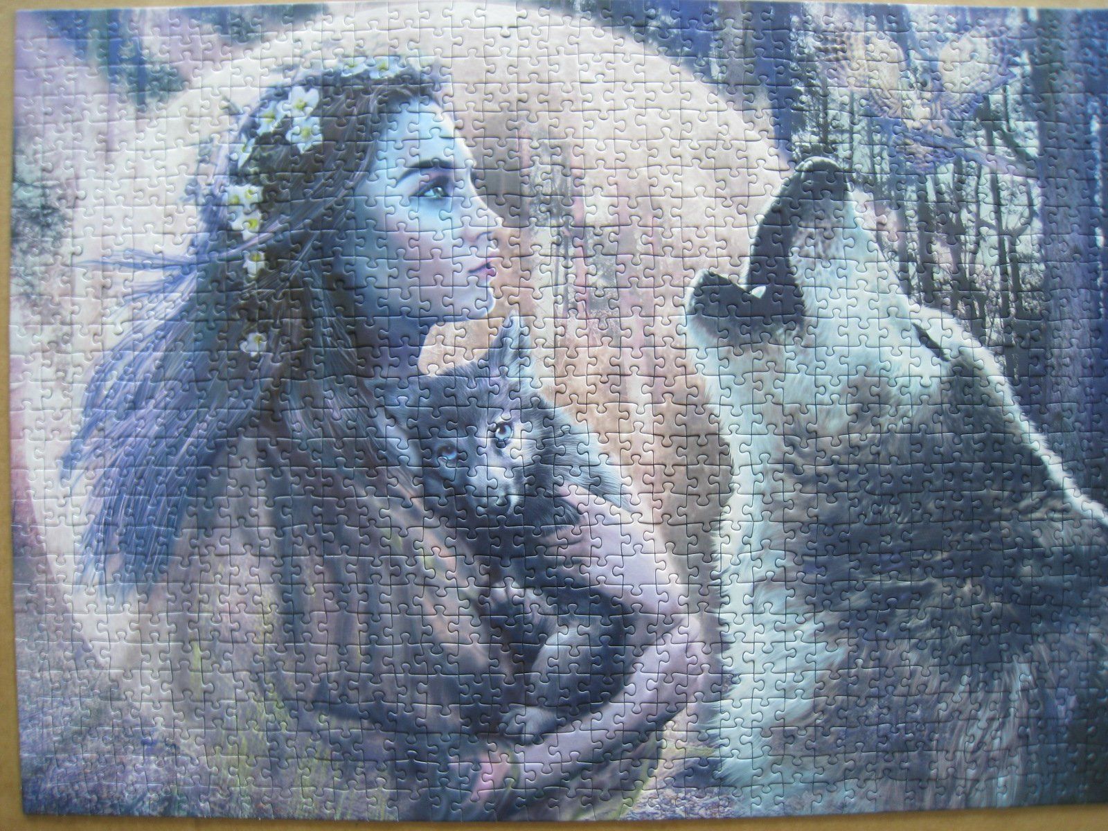 Ravensburger Puzzle: 4 Puzzle à1000 Teile – Usato da Sutz venduto da martinliliane 4