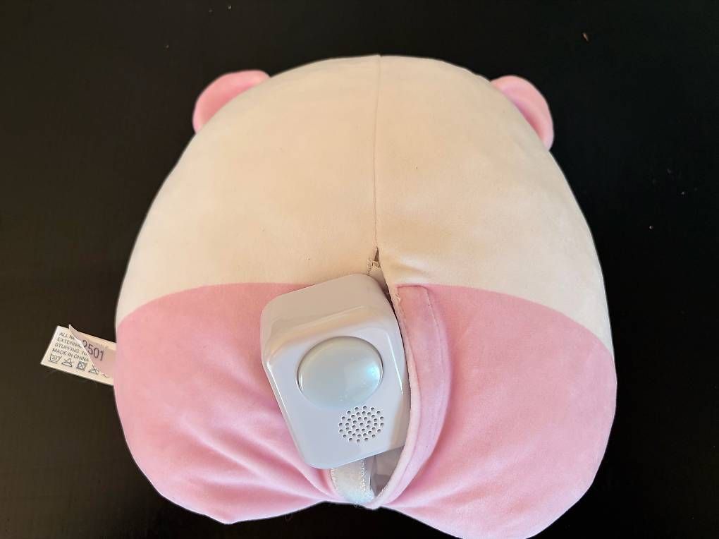 Spielzeuge: Kuschelbär mit Musik und Licht – Gebraucht aus Uster von sar_96xb 1